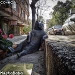 Filiberto Dach Profile Picture